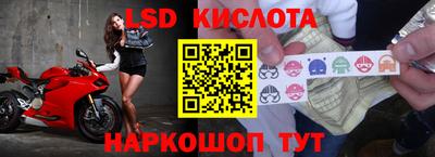 a pvp Будённовск