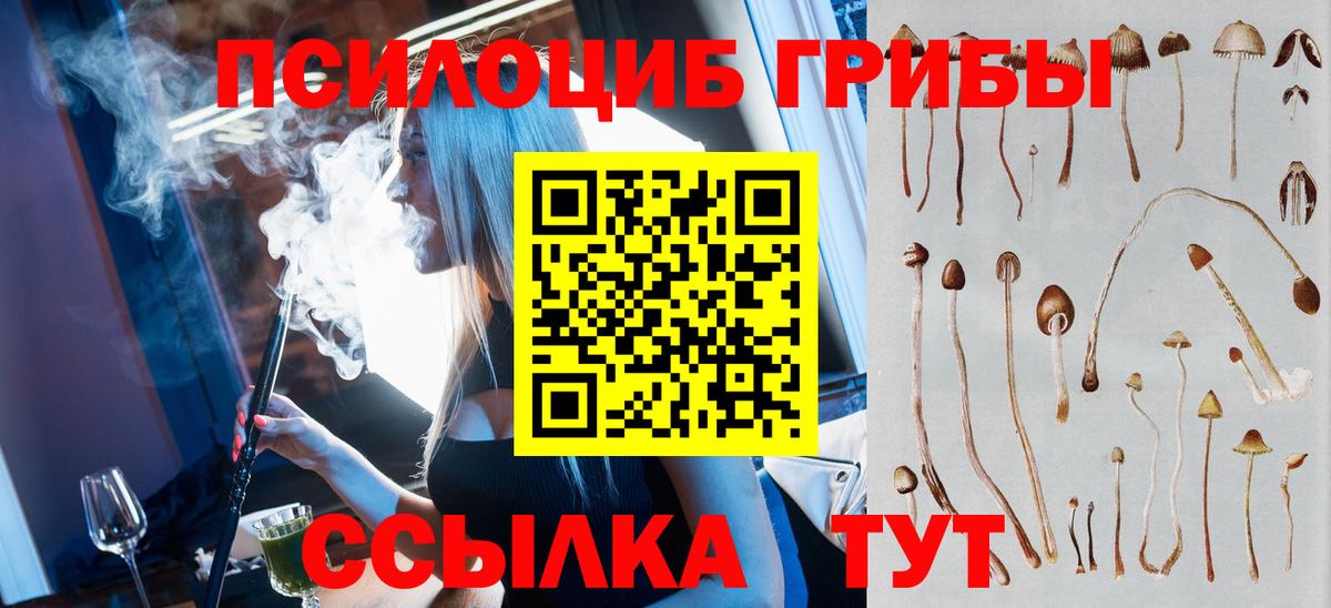 Славянск-на-Кубани  Псилоцибиновые грибы мицелий  Вход с VPN 